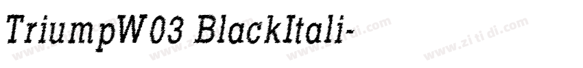 TriumpW03 BlackItali字体转换